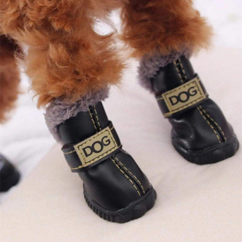 Botas para Pets de Inverno