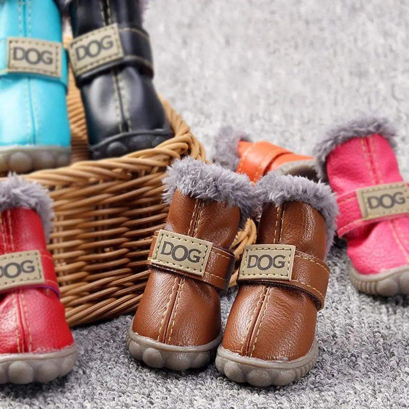 Botas para Pets de Inverno