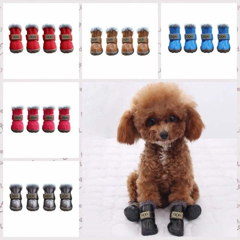 Botas para Pets de Inverno